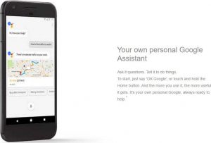 pixel-google-assistant