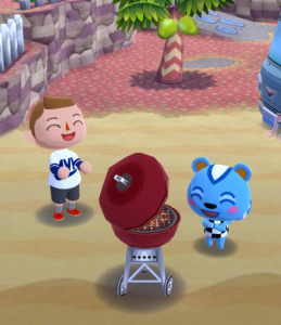 Pocket Camp